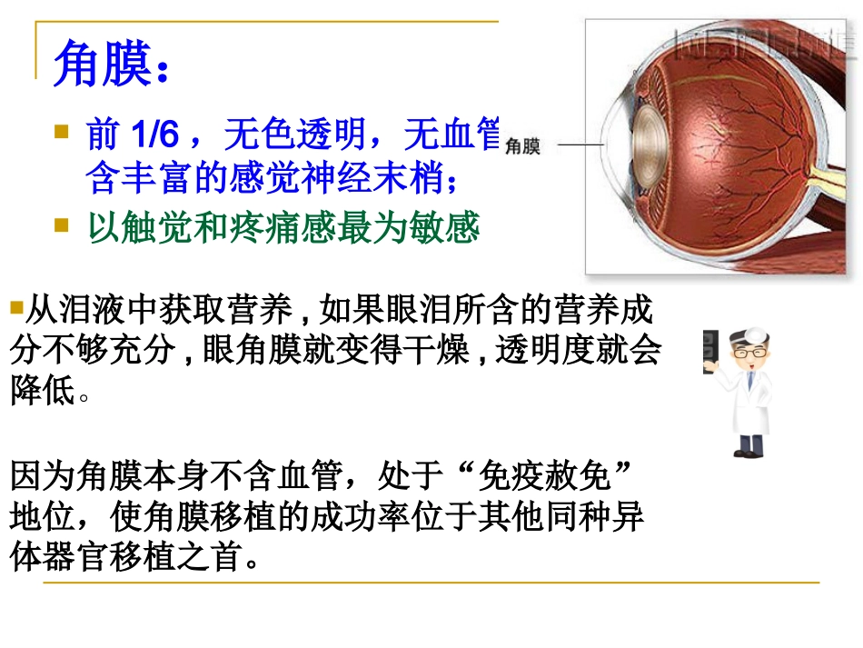 感觉器-眼_第7页