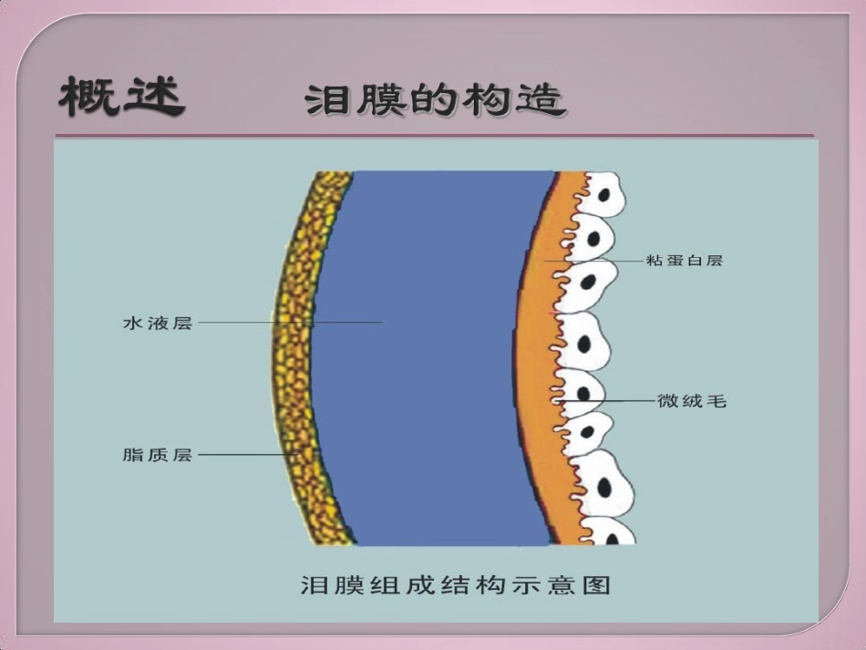 干眼症介绍及治疗健康教育讲座_第4页