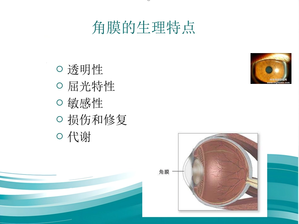 角膜炎教学查房_第8页