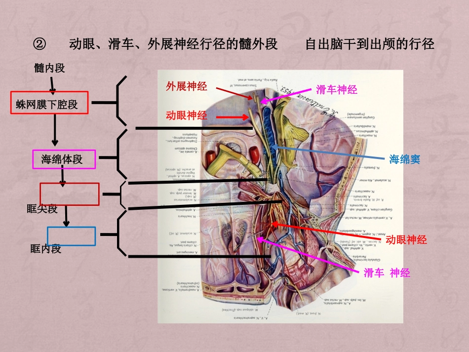 核性和核下性眼球运动障碍_第4页