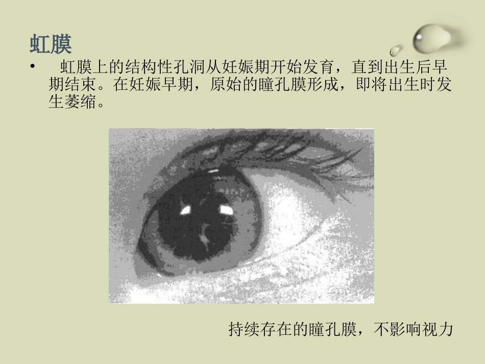 儿童眼部发育PPT课件_第11页