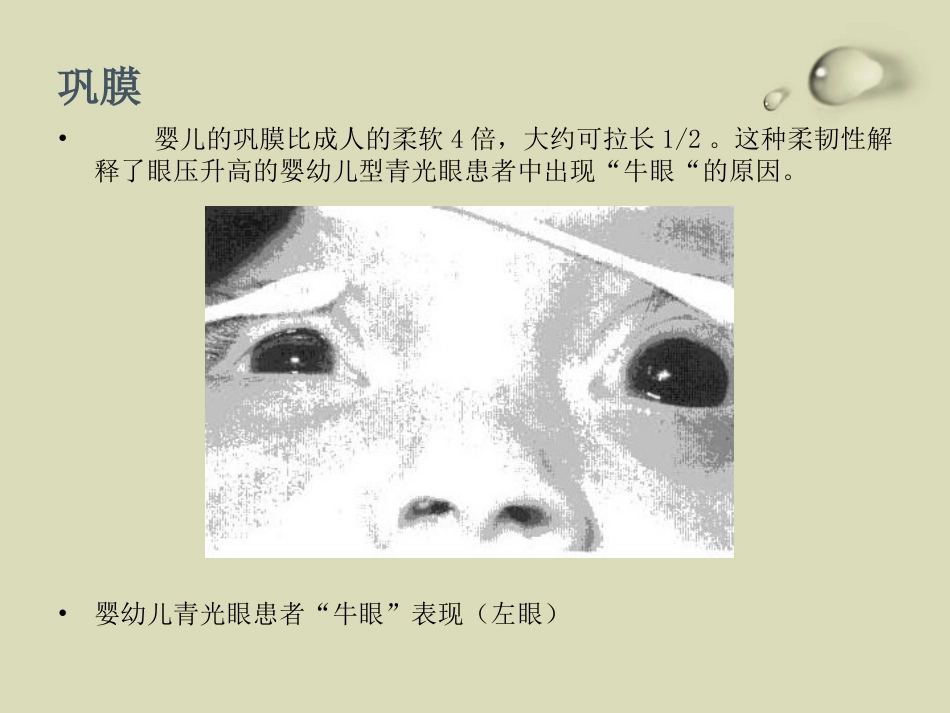 儿童眼部发育PPT课件_第13页