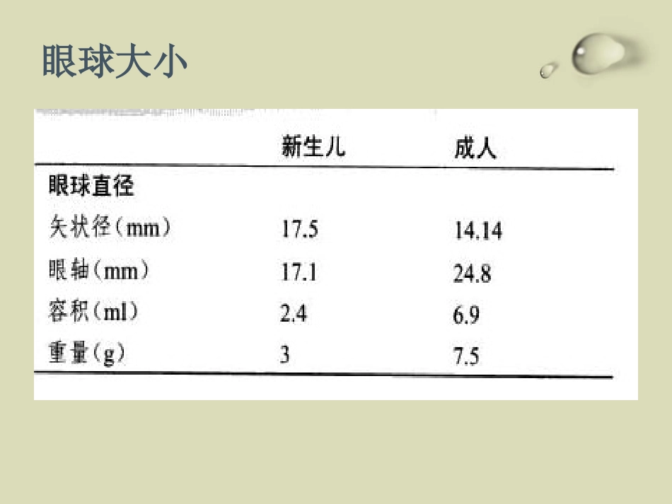 儿童眼部发育PPT课件_第4页