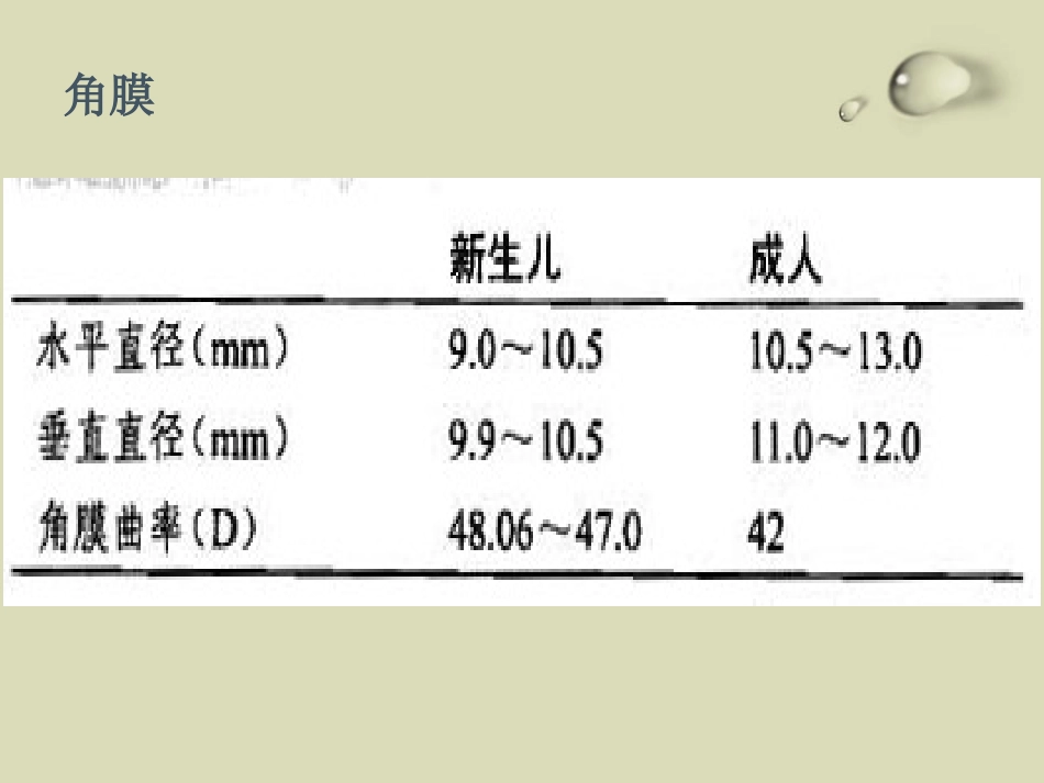 儿童眼部发育PPT课件_第6页
