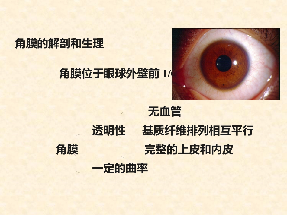 角膜炎的诊断与治疗_第3页