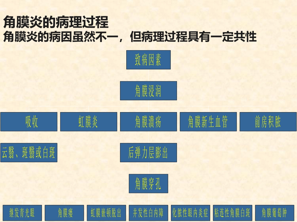 角膜炎的诊断与治疗_第7页