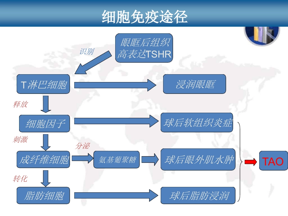 甲状腺相关性眼病_第9页