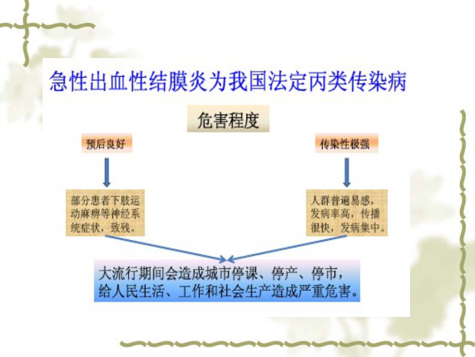 急性出血性结膜炎(1)_第4页