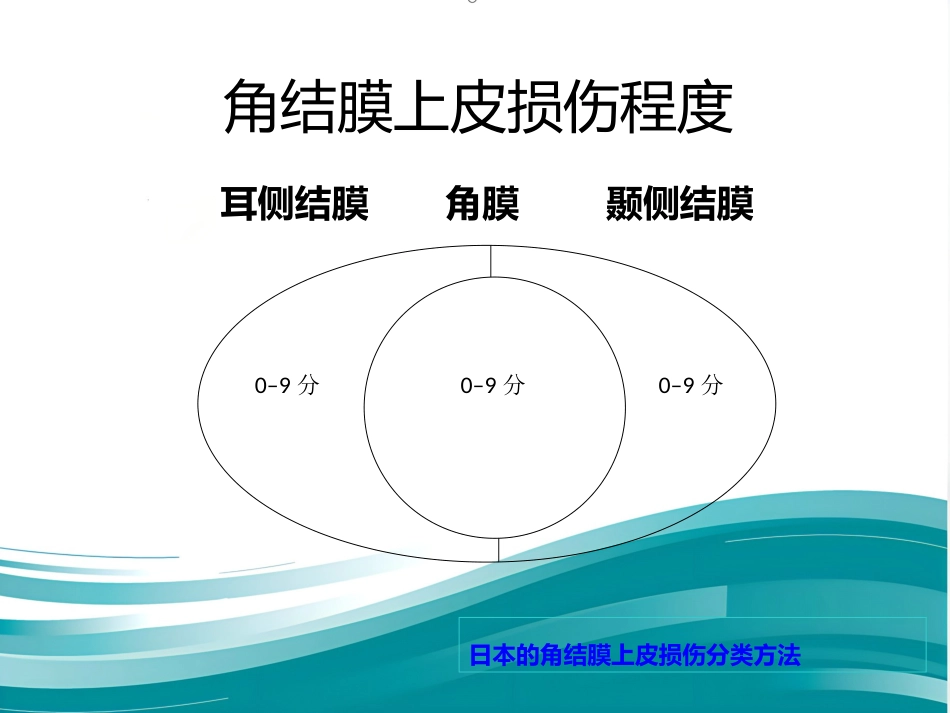 干眼症(1)_第12页