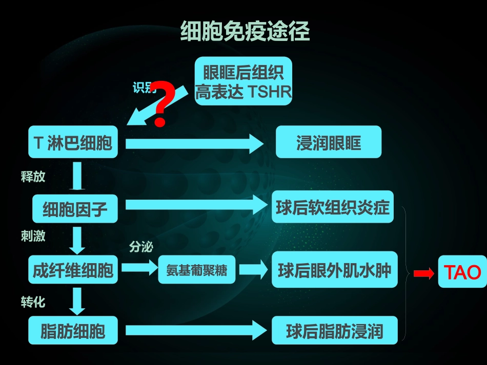 甲状腺相关性眼病(1)_第9页