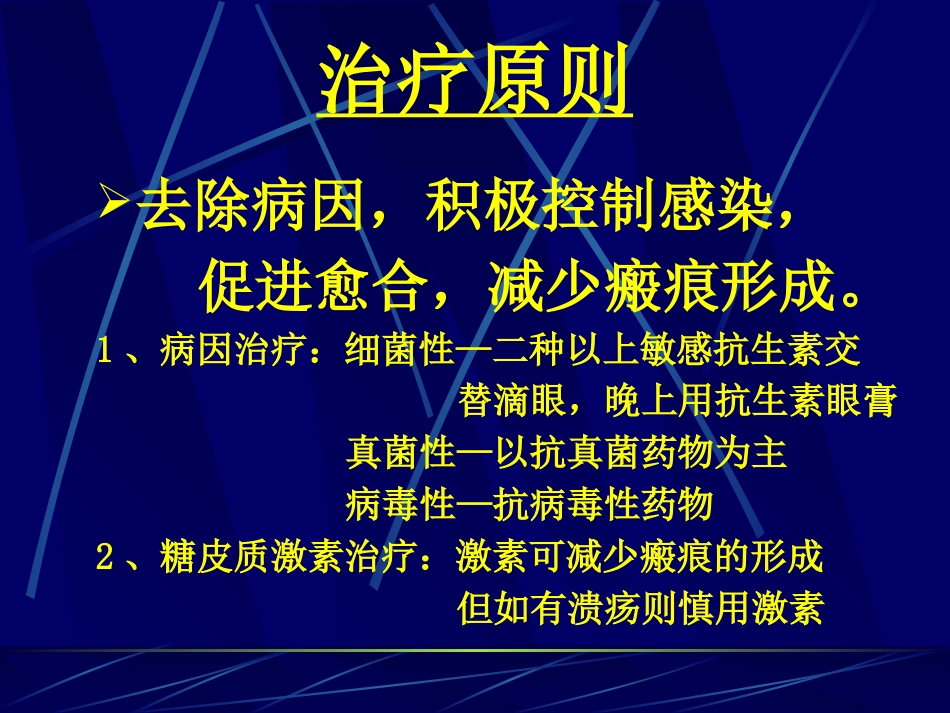 角膜病 (3)_第13页