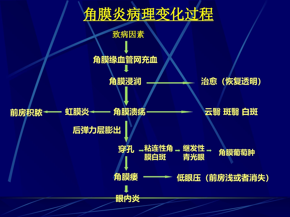 角膜病 (3)_第9页