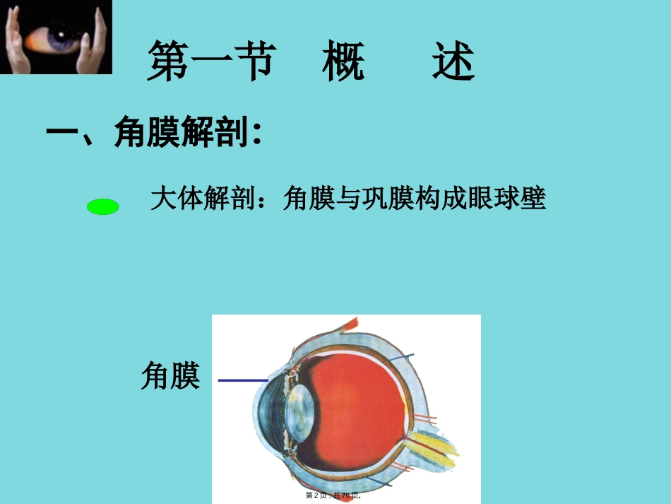 角膜病 (4)_第2页