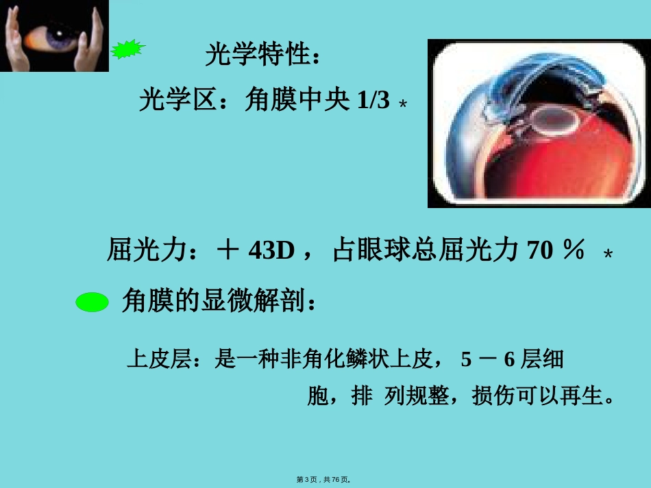 角膜病 (4)_第3页