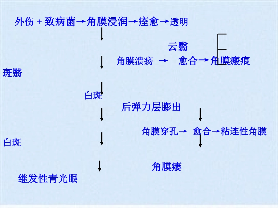 角膜炎的治疗与护理(共40张PPT)_第6页