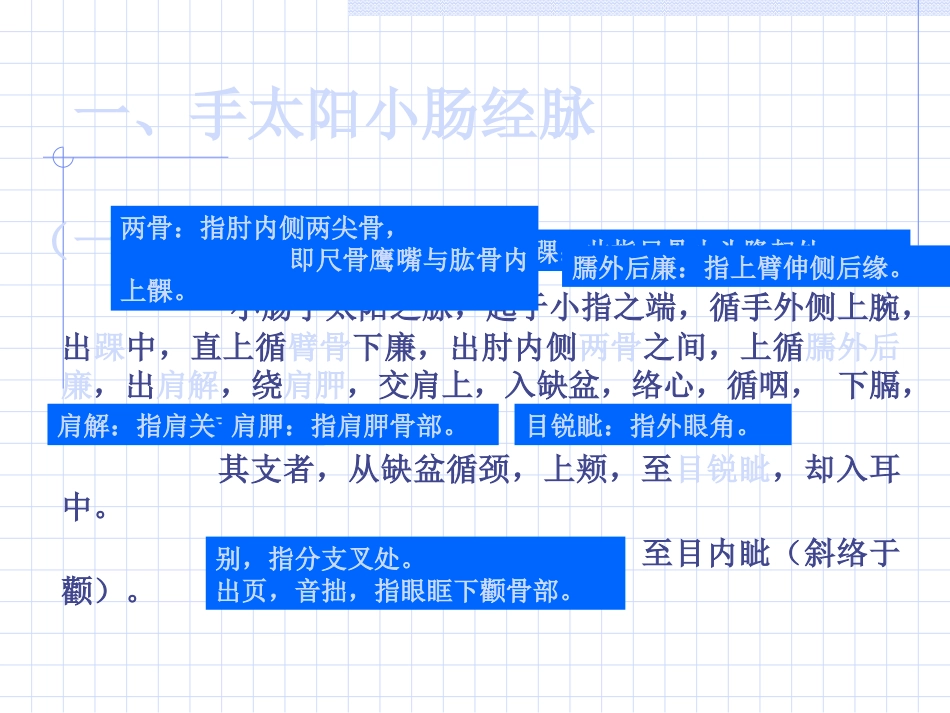 人体经络穴位图谱6小肠经_第2页