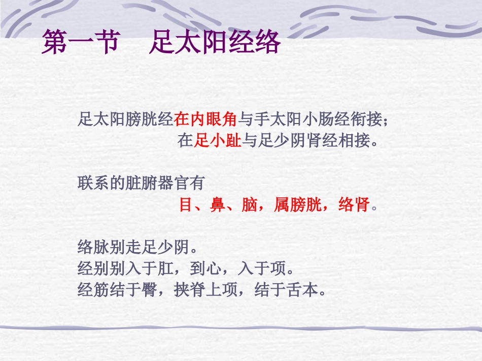 人体经络穴位图谱7膀胱经_第2页
