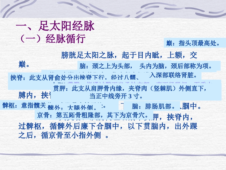 人体经络穴位图谱7膀胱经_第3页