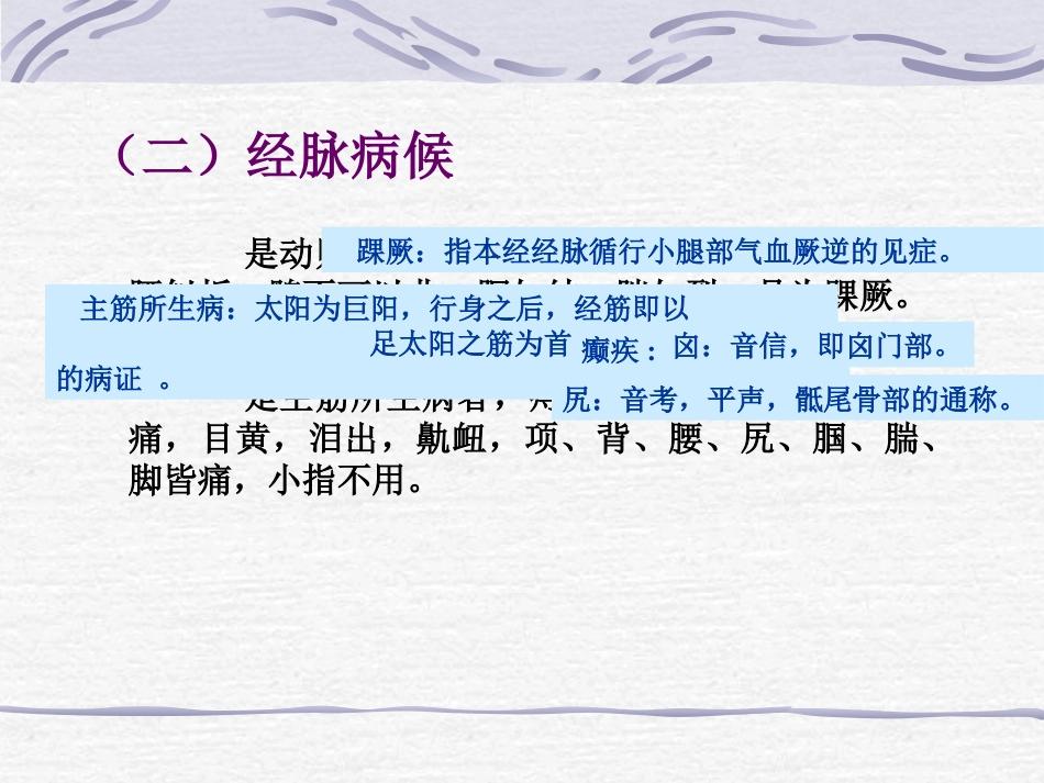 人体经络穴位图谱7膀胱经_第5页