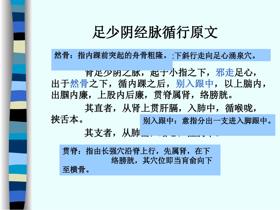 人体经络穴位图谱8肾经_第2页
