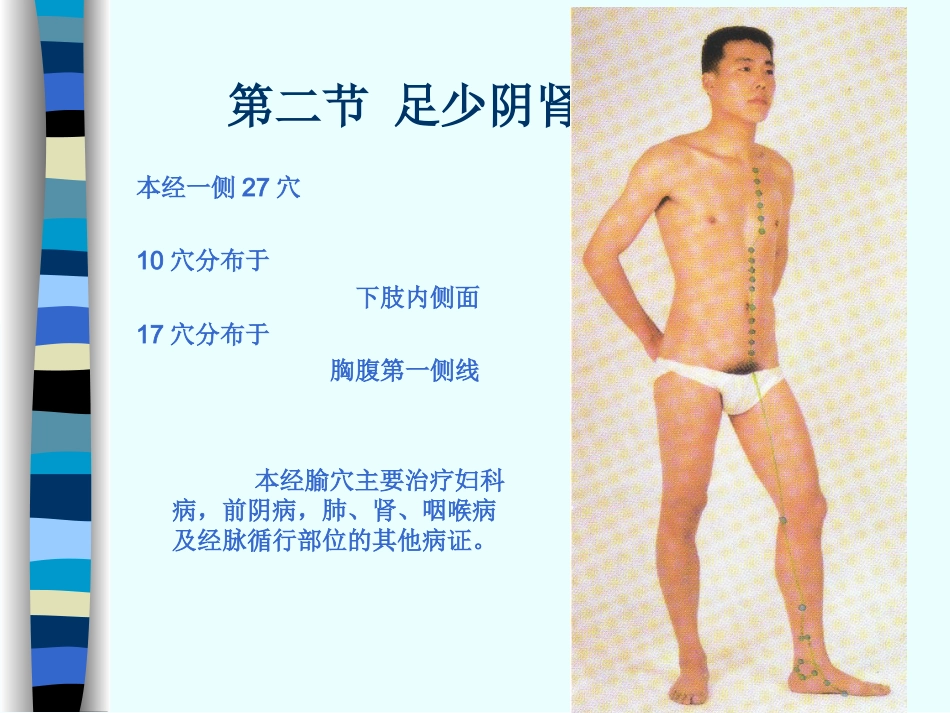 人体经络穴位图谱8肾经_第6页