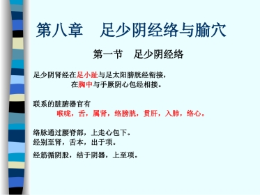 人体经络穴位图谱8肾经