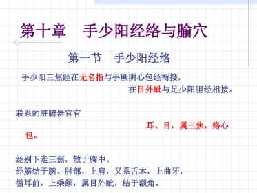 人体经络穴位图谱10三焦经