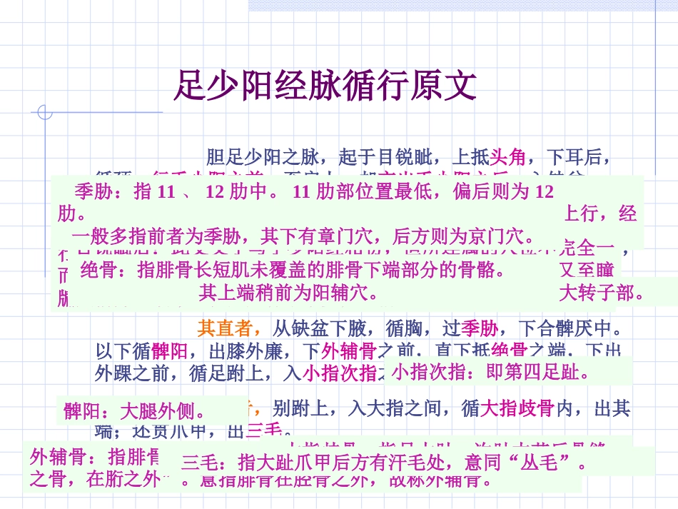 人体经络穴位图谱11胆经_第2页