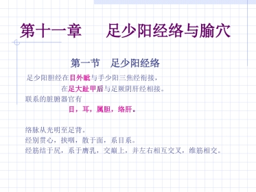 人体经络穴位图谱11胆经