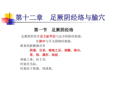 人体经络穴位图谱12肝经