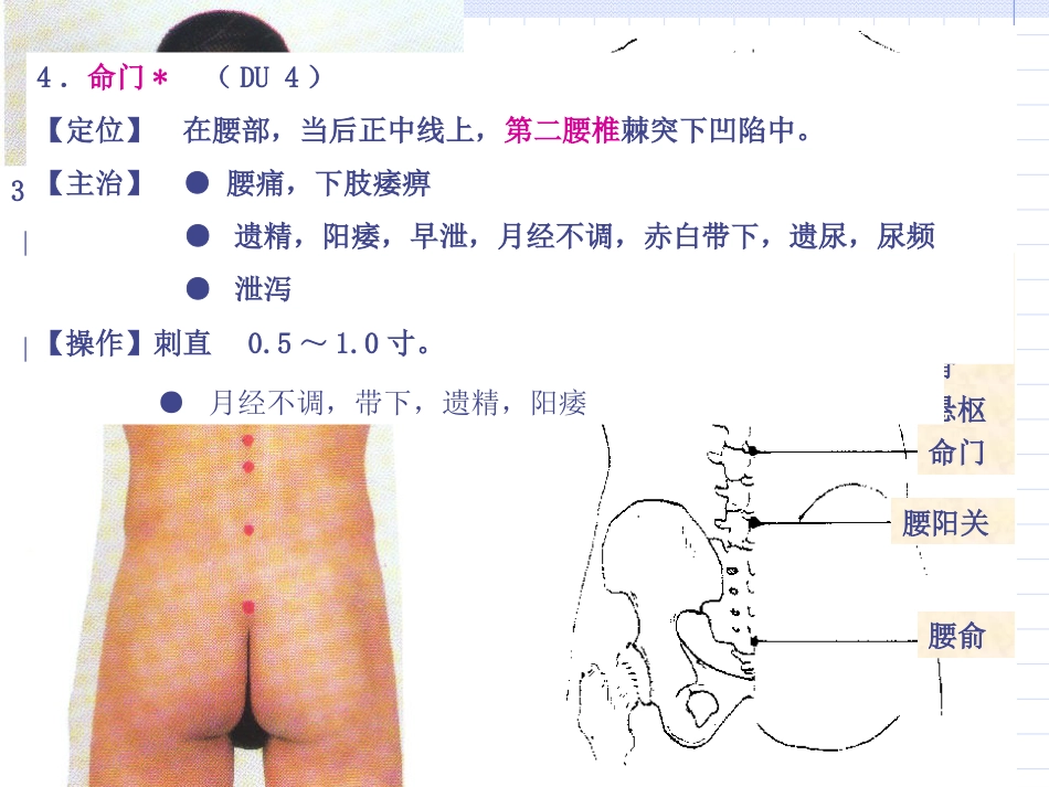 人体经络穴位图谱13督脉_第11页