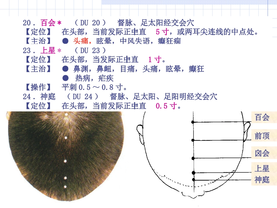 人体经络穴位图谱13督脉_第14页