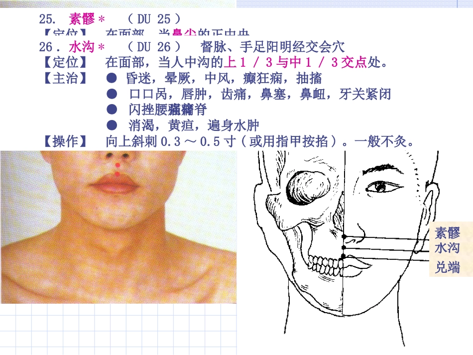 人体经络穴位图谱13督脉_第15页