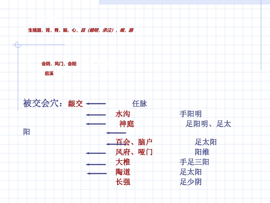 人体经络穴位图谱13督脉_第5页