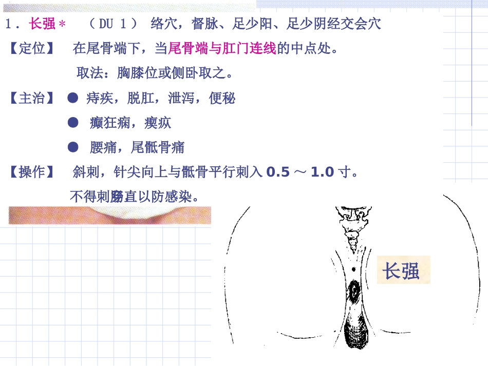 人体经络穴位图谱13督脉_第9页