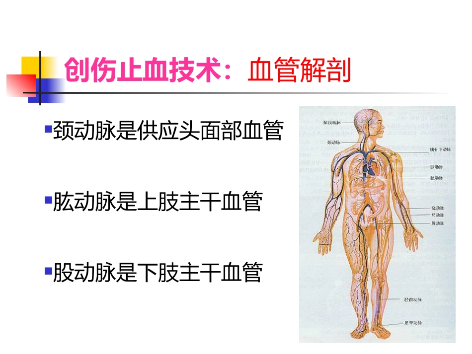 医护常识：常见外伤的急救_第4页
