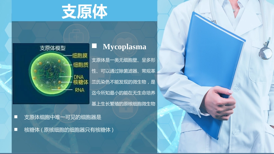 支原体肺炎临床表现及治疗方案（上）_第2页