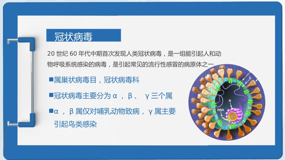 新型冠状病毒感染疫情形势与预防控制_第4页