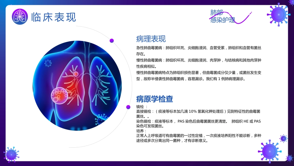 肺部感染护理知识_第12页