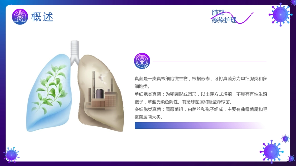 肺部感染护理知识_第4页
