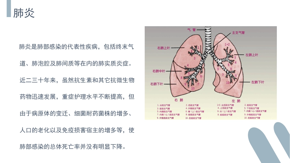 肺部感染介绍_第5页