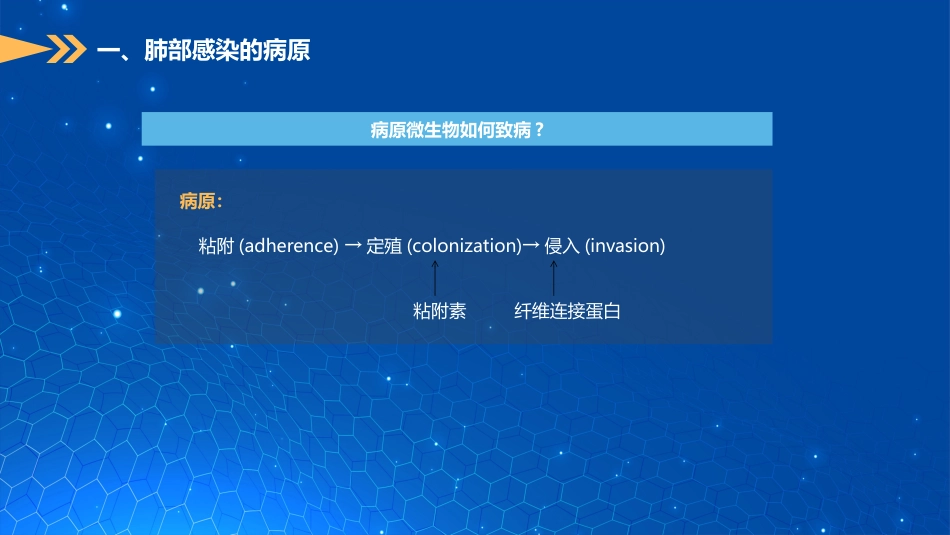 肺部感染现状及经验治疗_第6页