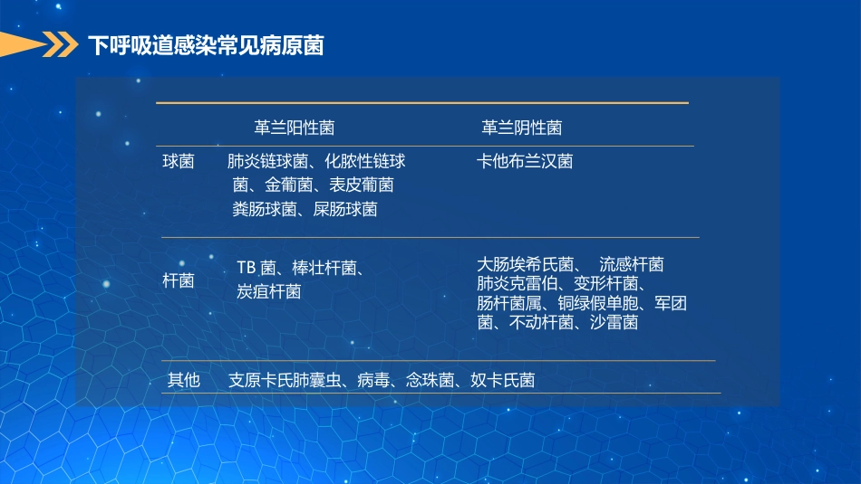 肺部感染现状及经验治疗_第7页