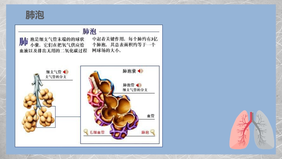 肺部感染性疾病2_第5页
