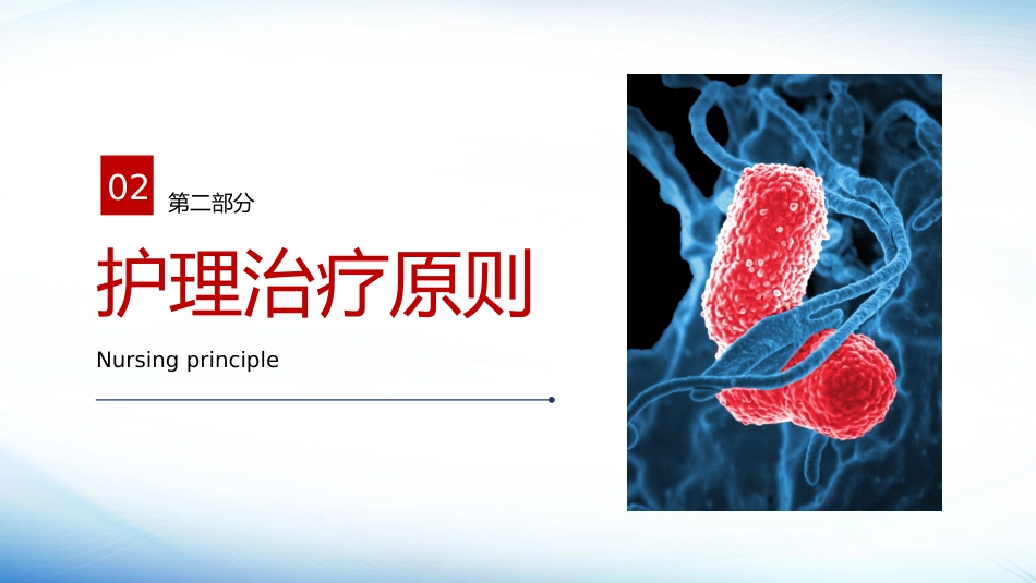 肺炎护理2_第8页