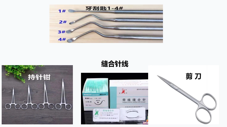 拔牙器械及药物清单_第7页