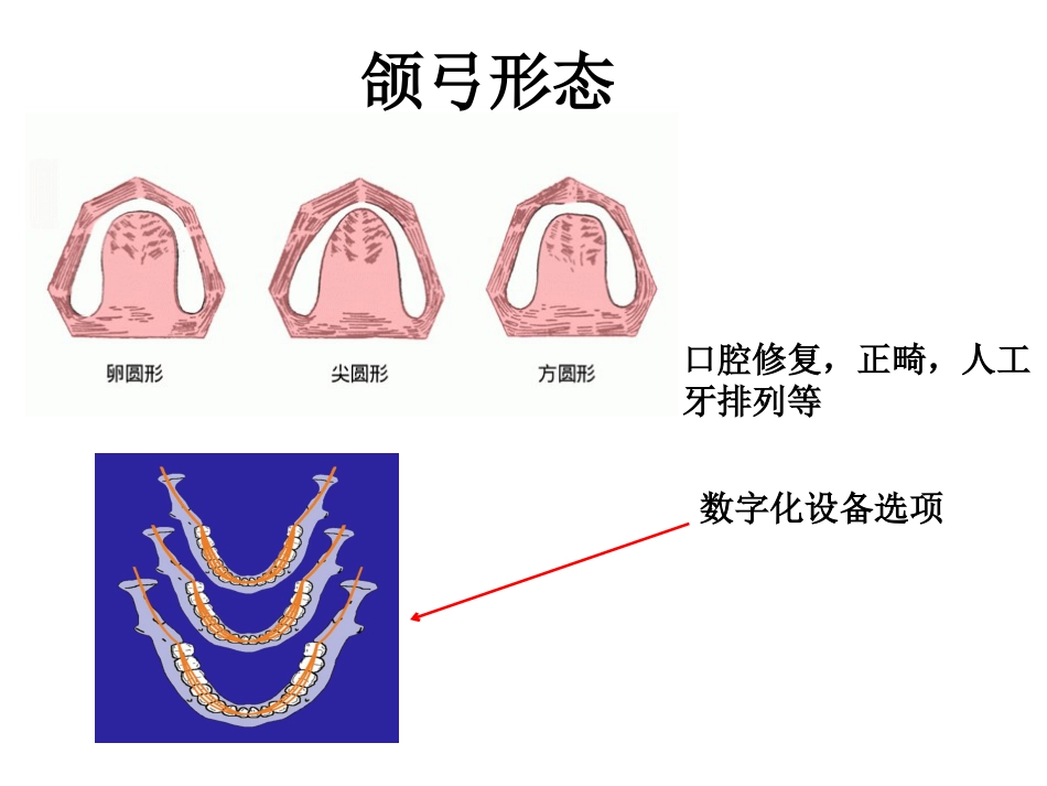 《口腔基础知识》ppt课件_第10页