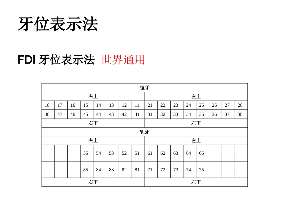 《口腔基础知识》ppt课件_第11页
