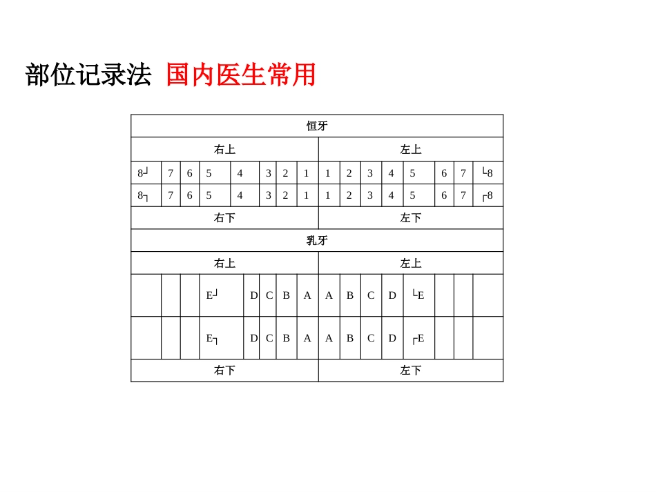 《口腔基础知识》ppt课件_第12页