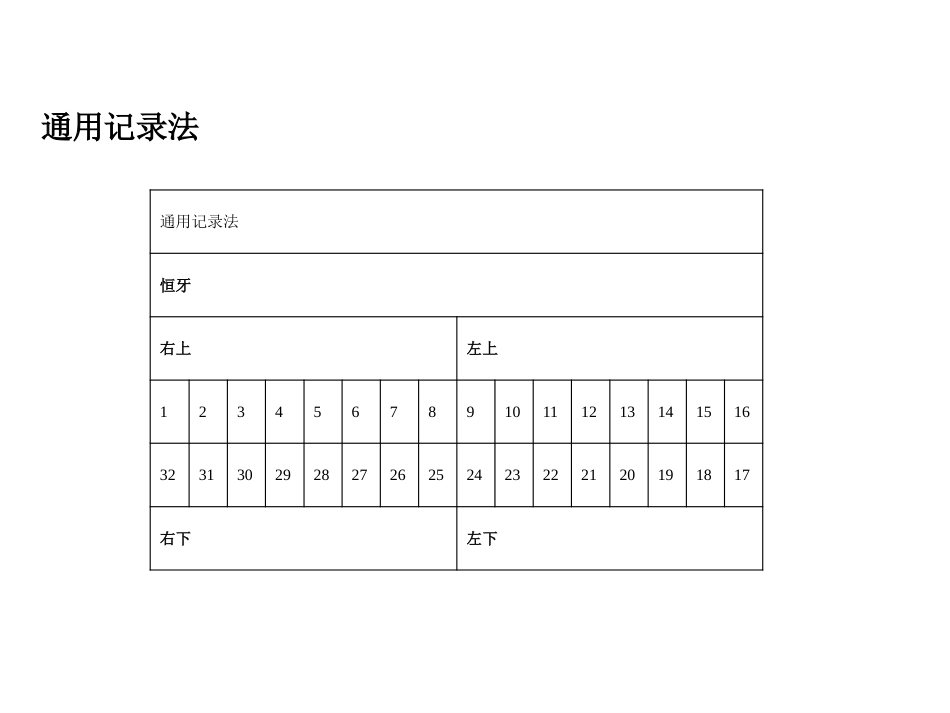 《口腔基础知识》ppt课件_第13页